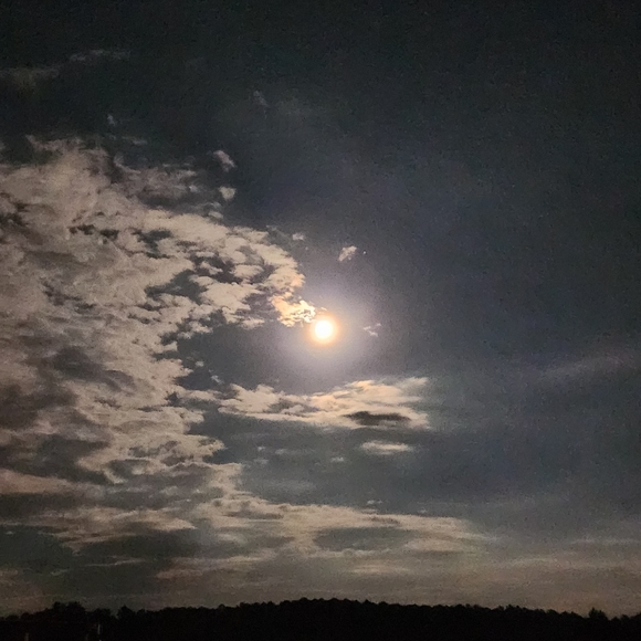 Meet your Posher, Kelly - Picture 2 of 4